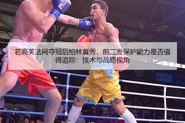 ruo-gao-fu-fa-wang-duo-guan-hou-bo-lin-shou-xiu-qian-er-fa-bao-hu-neng-li-shi-fou-zhi-de-zhui-zong-ji-shu-yu-zhan-lve-1-141.jpg
